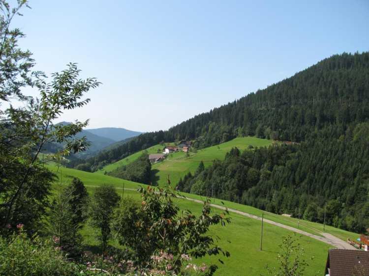 Gaestehaus Gerda Bad Peterstal-Griesbach Exterior foto